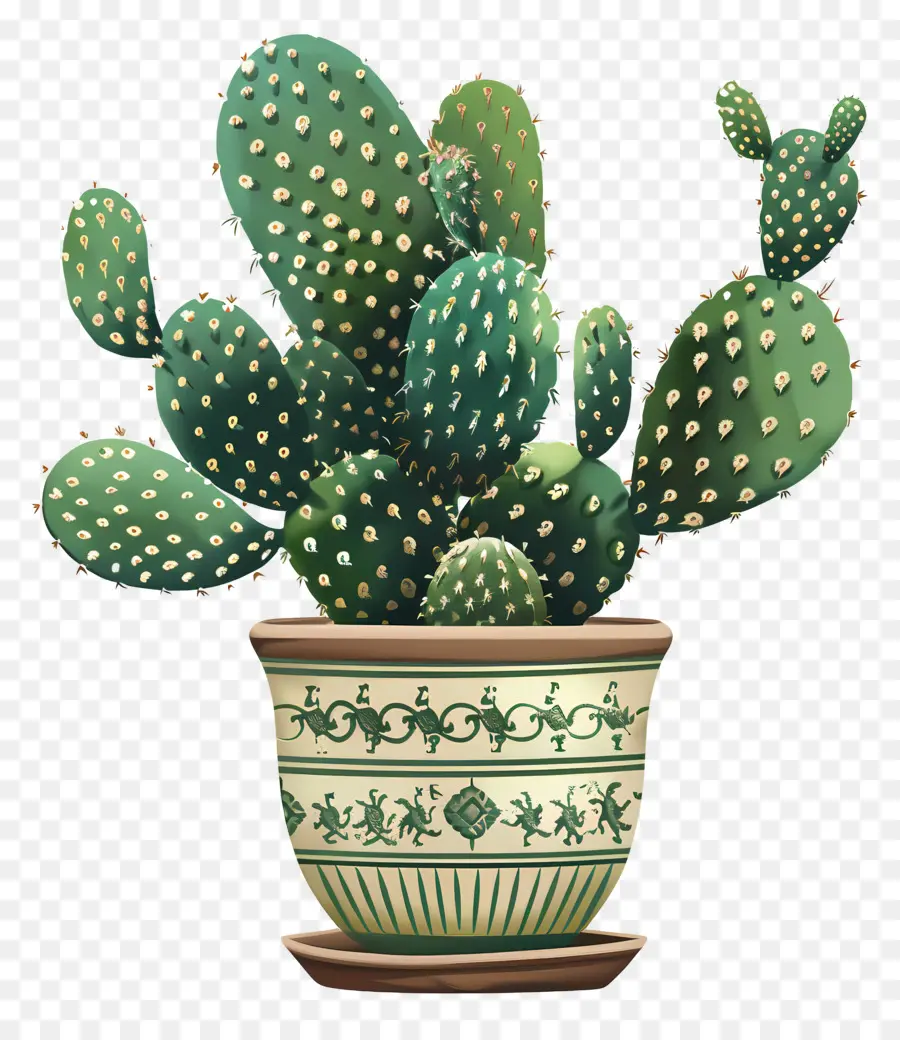 Cactus，Suculento PNG