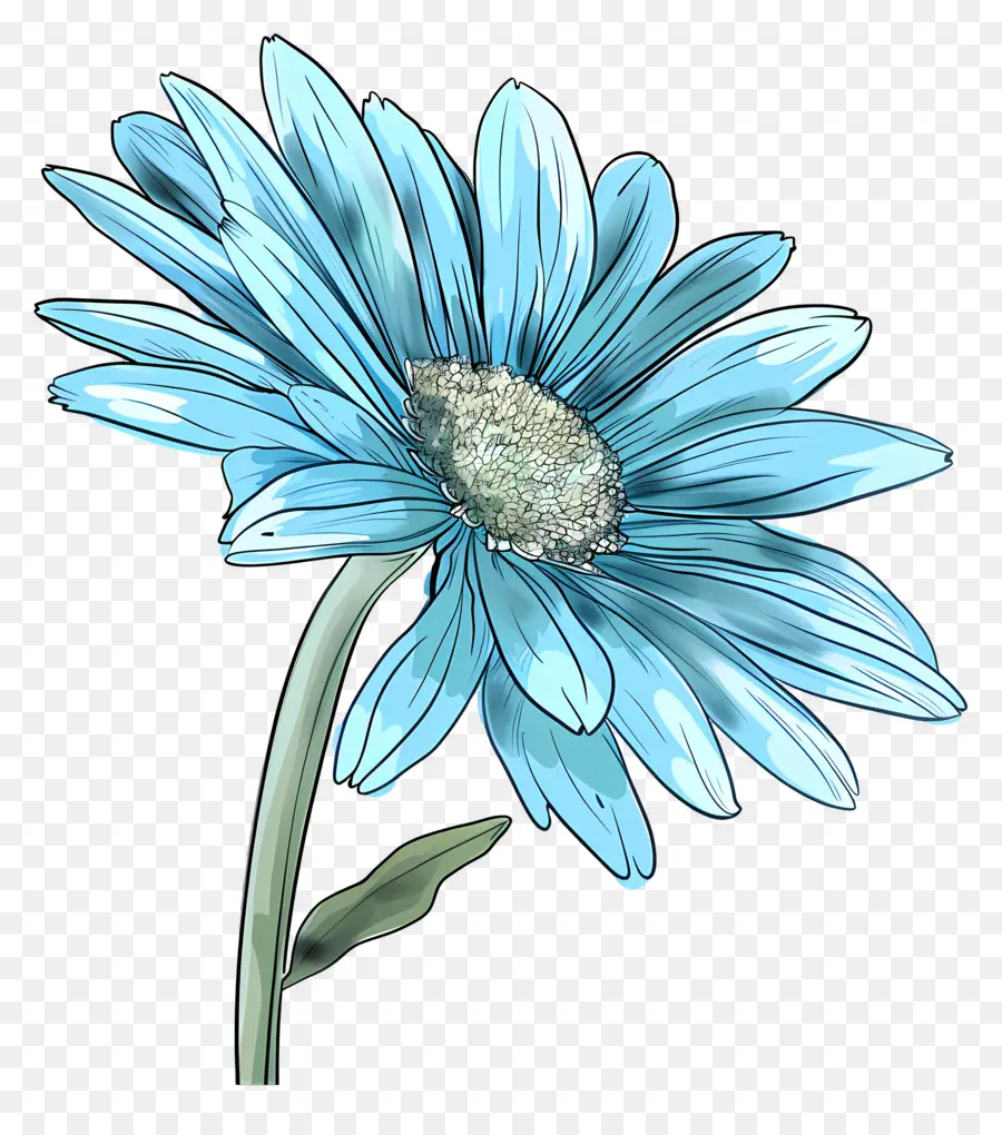 Gerbera Azul，Flor Azul PNG