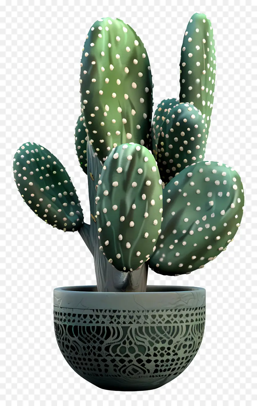 Cactus，Olla PNG