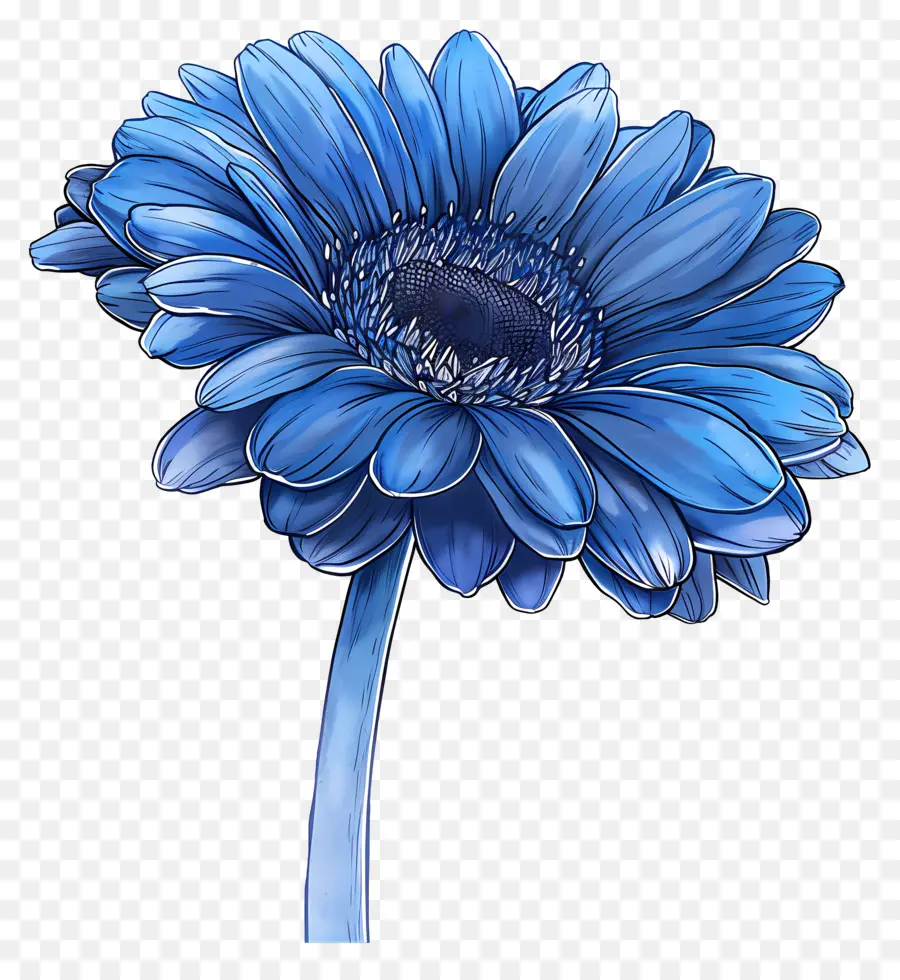 Gerbera Azul，Flor Azul PNG