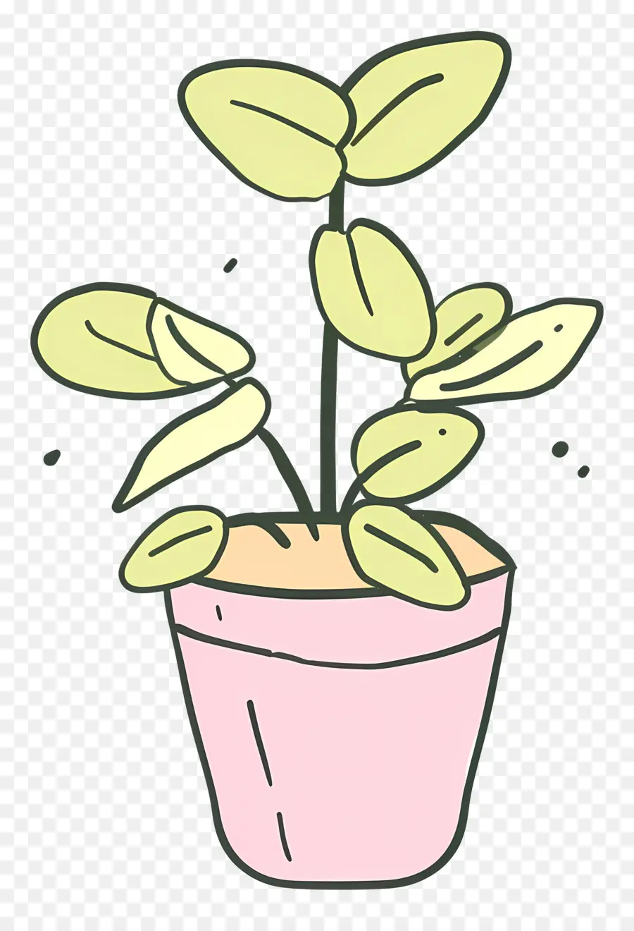 Planta Hidropónica，Planta En Maceta PNG