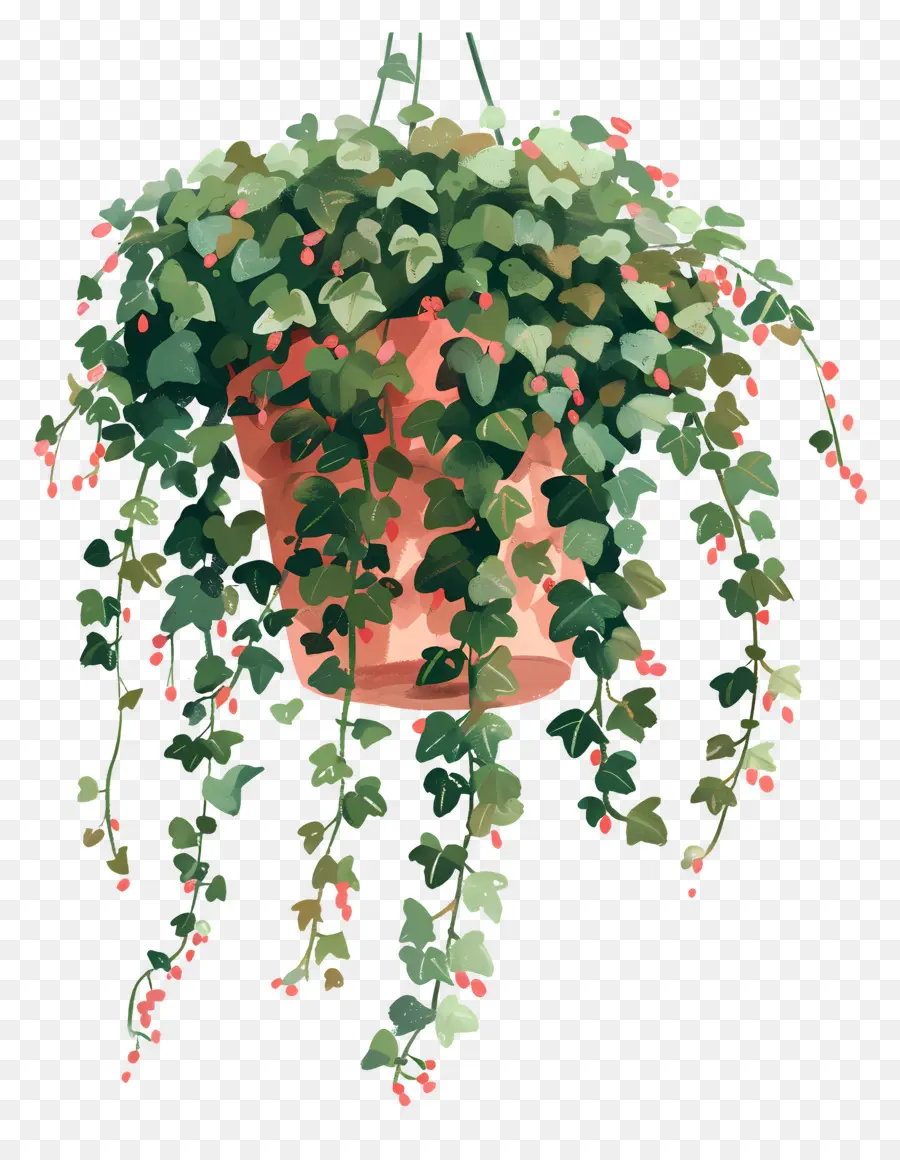 Ivy Colgante，Colgando De La Planta PNG