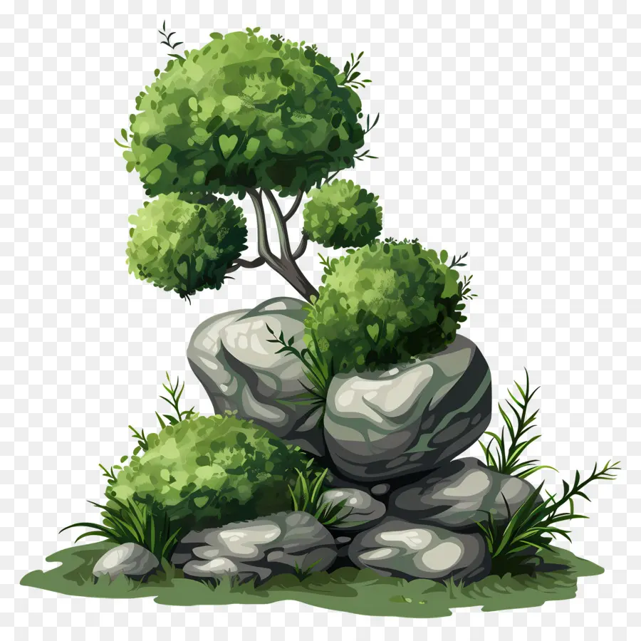 Planta De Musgo，Piedras Cubiertas De Musgo PNG