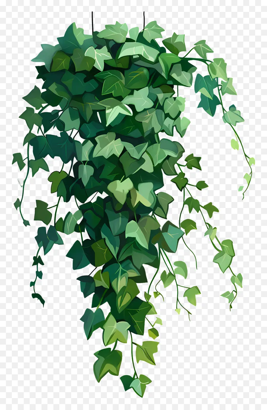 Ivy Colgante，Colgando De La Planta PNG