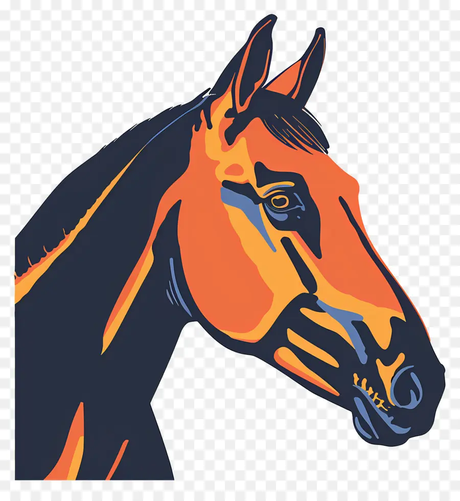 Caballo，Cabeza De Caballo PNG