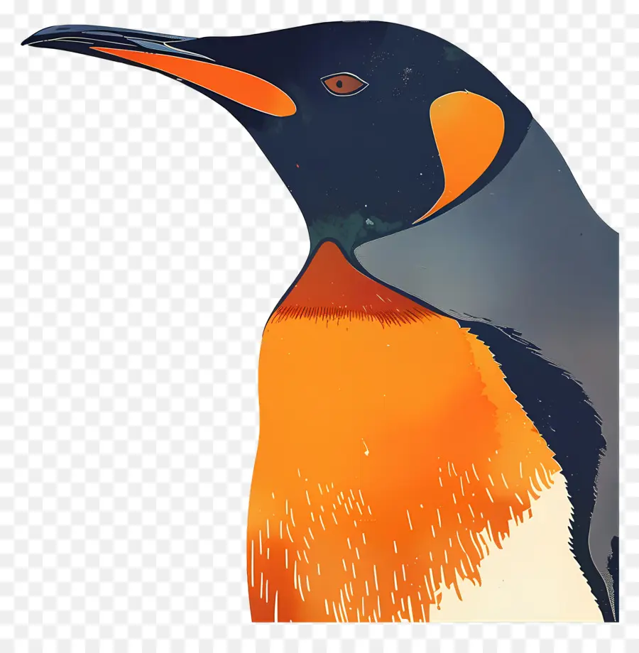 Pingüino，Aves PNG