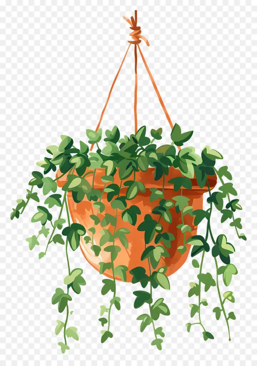 Ivy Colgante，Colgando De La Planta PNG