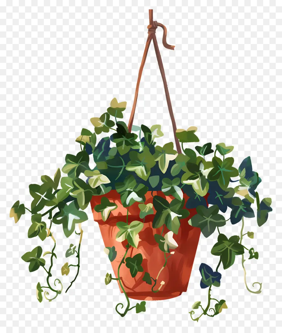 Ivy Colgante，Colgando De La Planta PNG