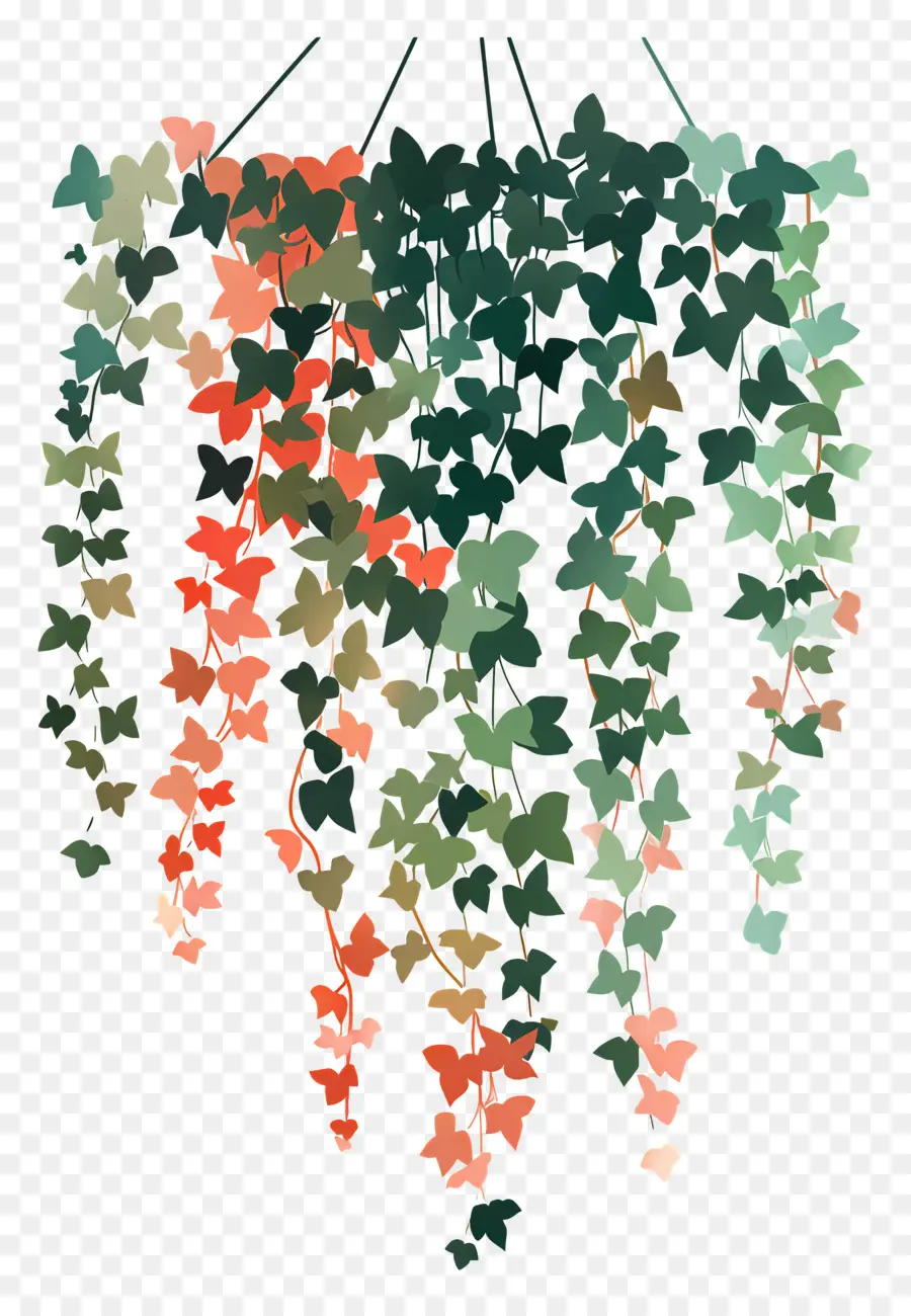 Ivy Colgante，Enredaderas Colgantes PNG