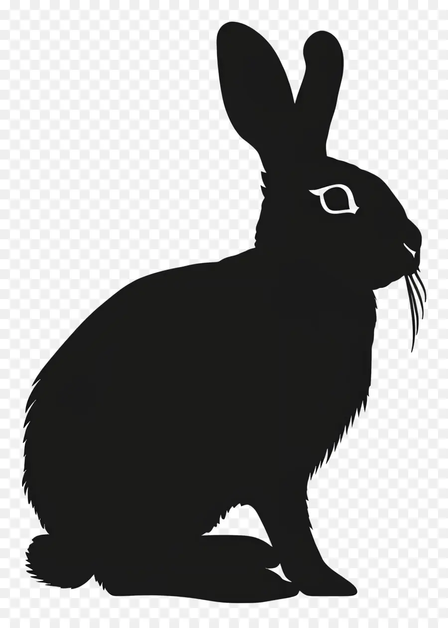 La Silueta De Conejo，Conejo PNG