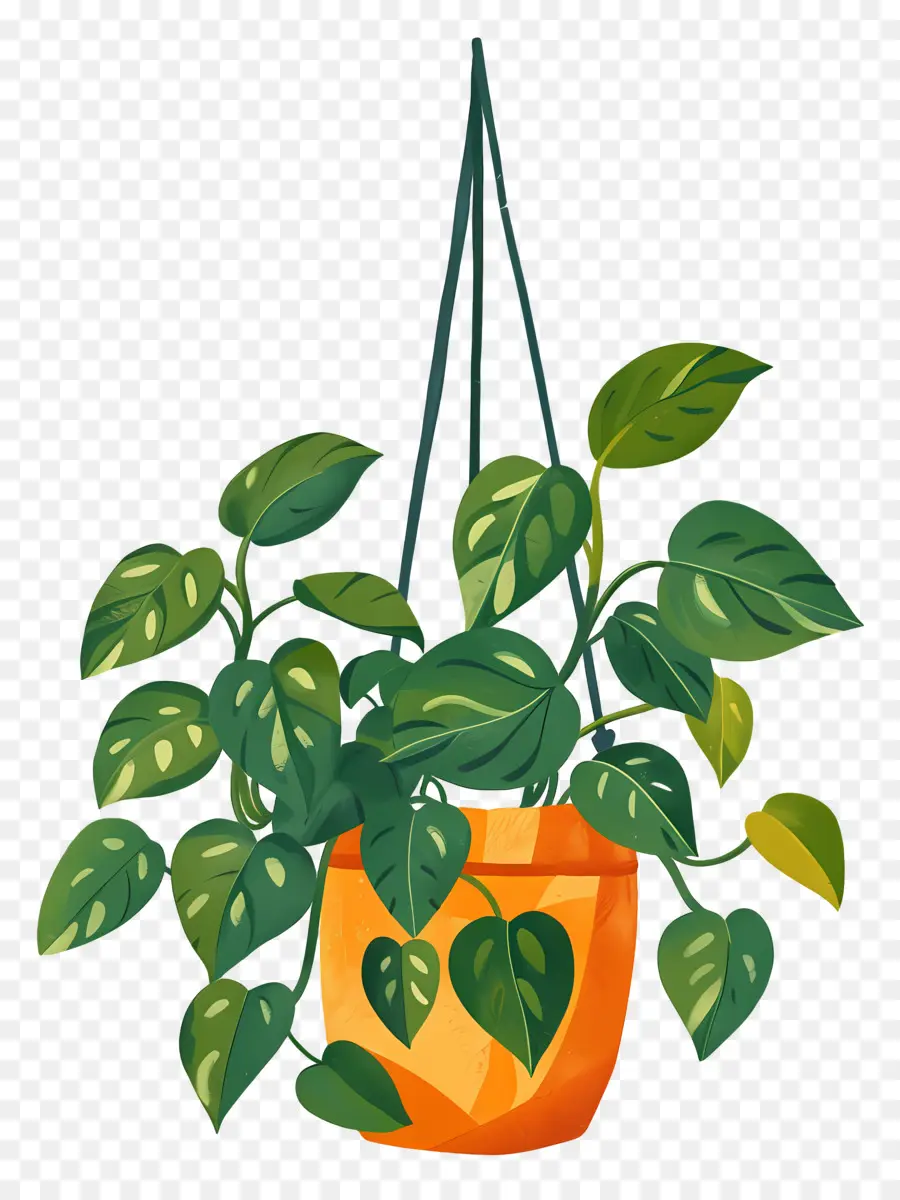 Bolsa De Plantas，Planta Colgante PNG