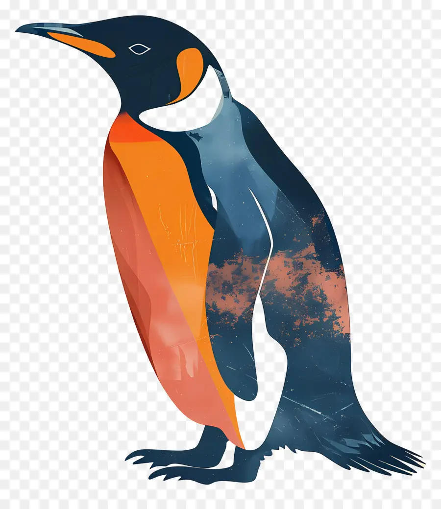 Pingüino，Aves PNG