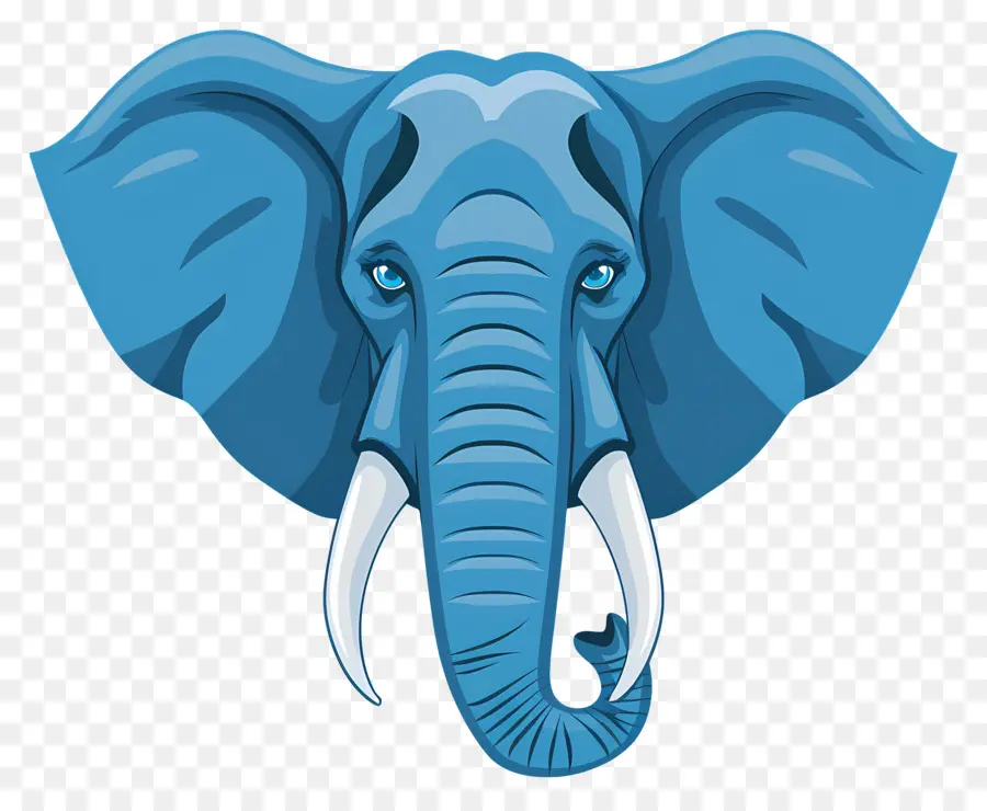 Blue Elephant，Cabeza De Elefante PNG