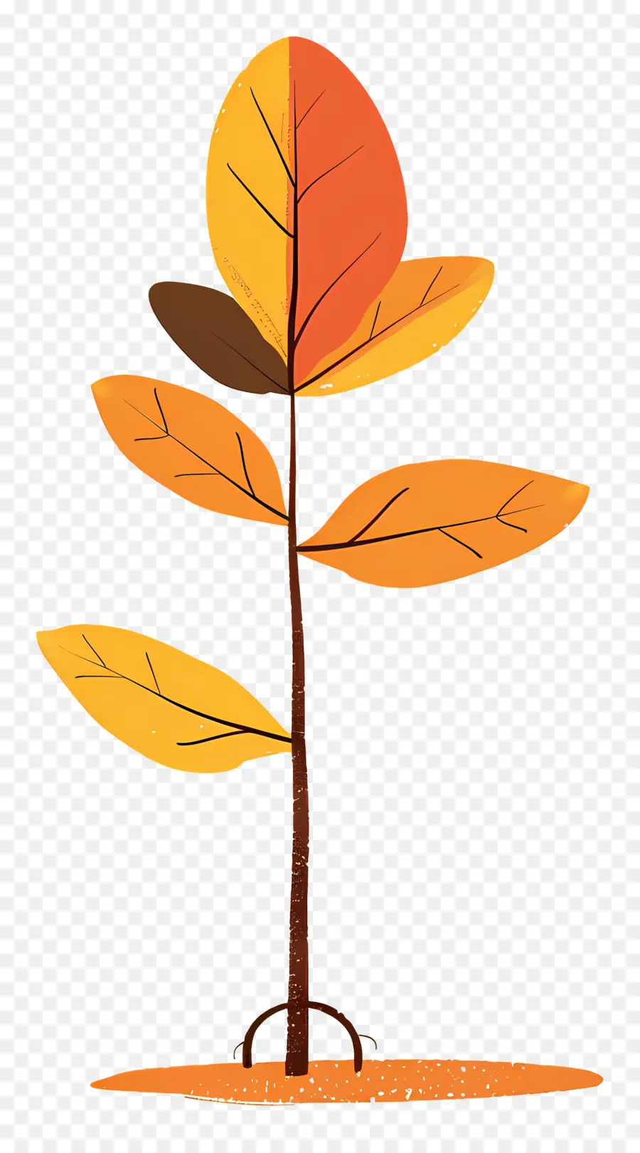 Hoja De Otoño En El árbol，Planta Colorida PNG