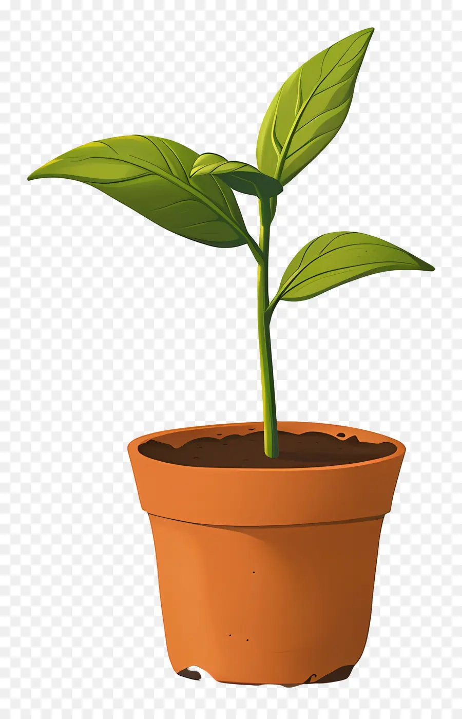 Planta De Brote Verde，Planta Verde PNG