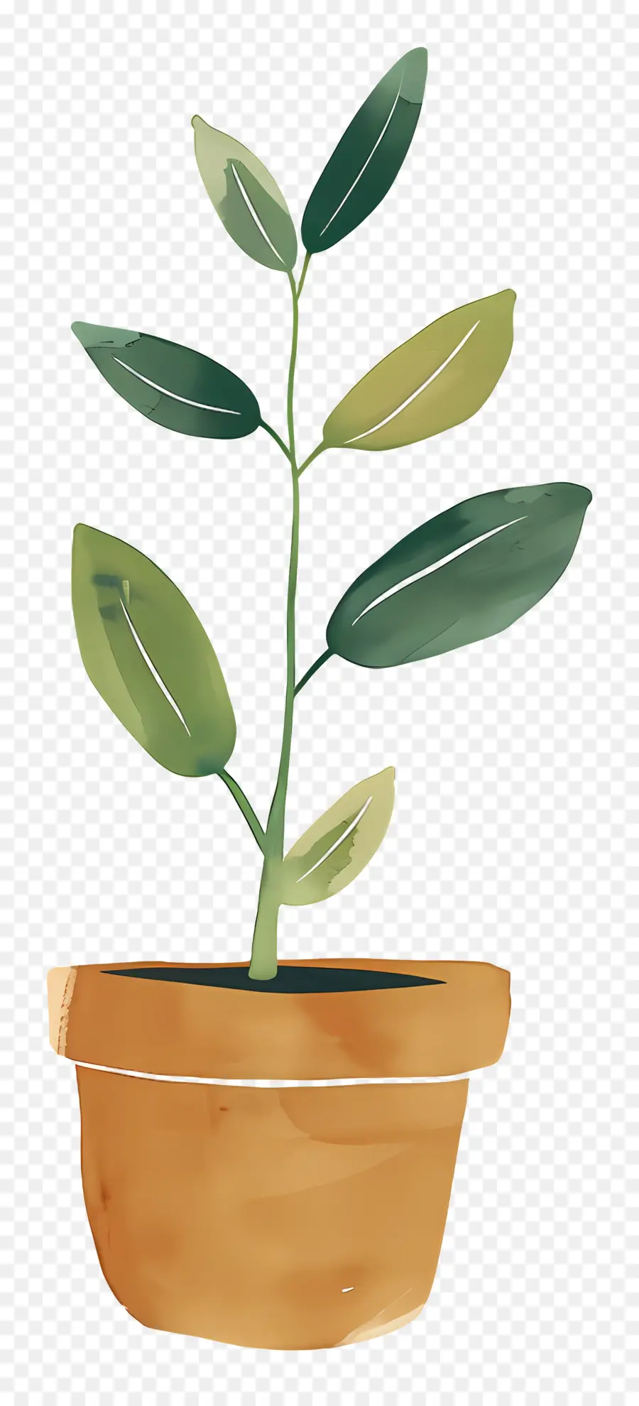 Planta De Brote Verde，Planta En Maceta PNG