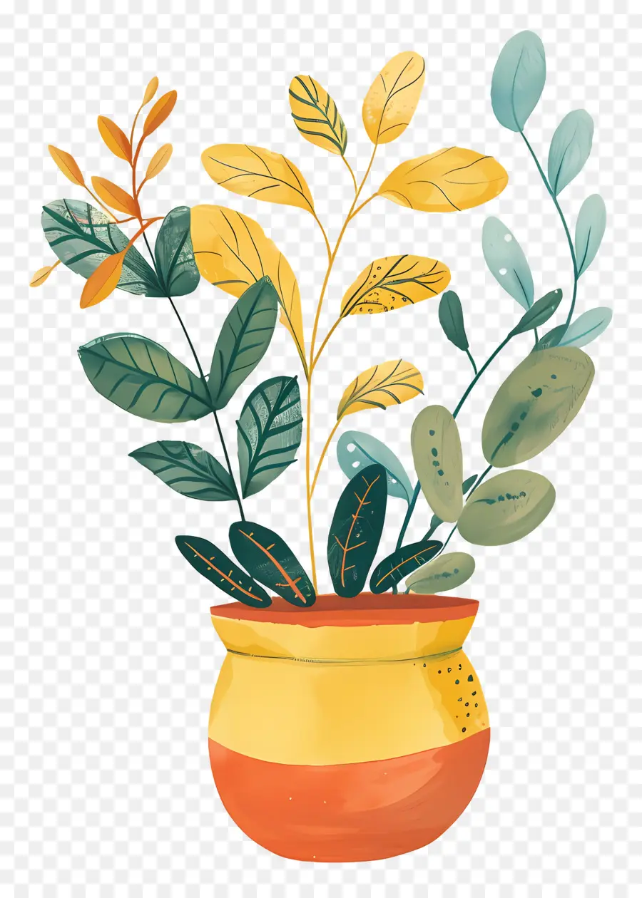 Bolsa De Planta，Planta En Maceta PNG