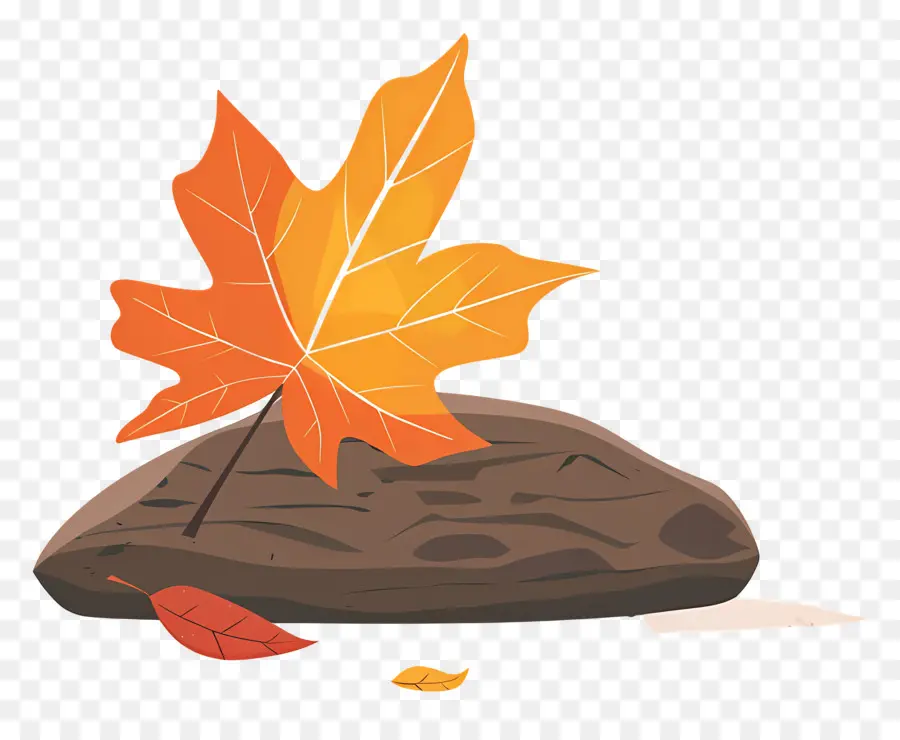 Hoja De Otoño En La Roca，Hoja Y Roca PNG