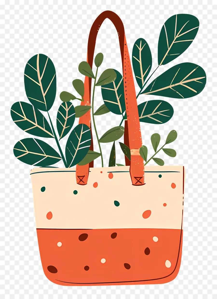 Bolsa De Planta，Bolsa Con Plantas PNG