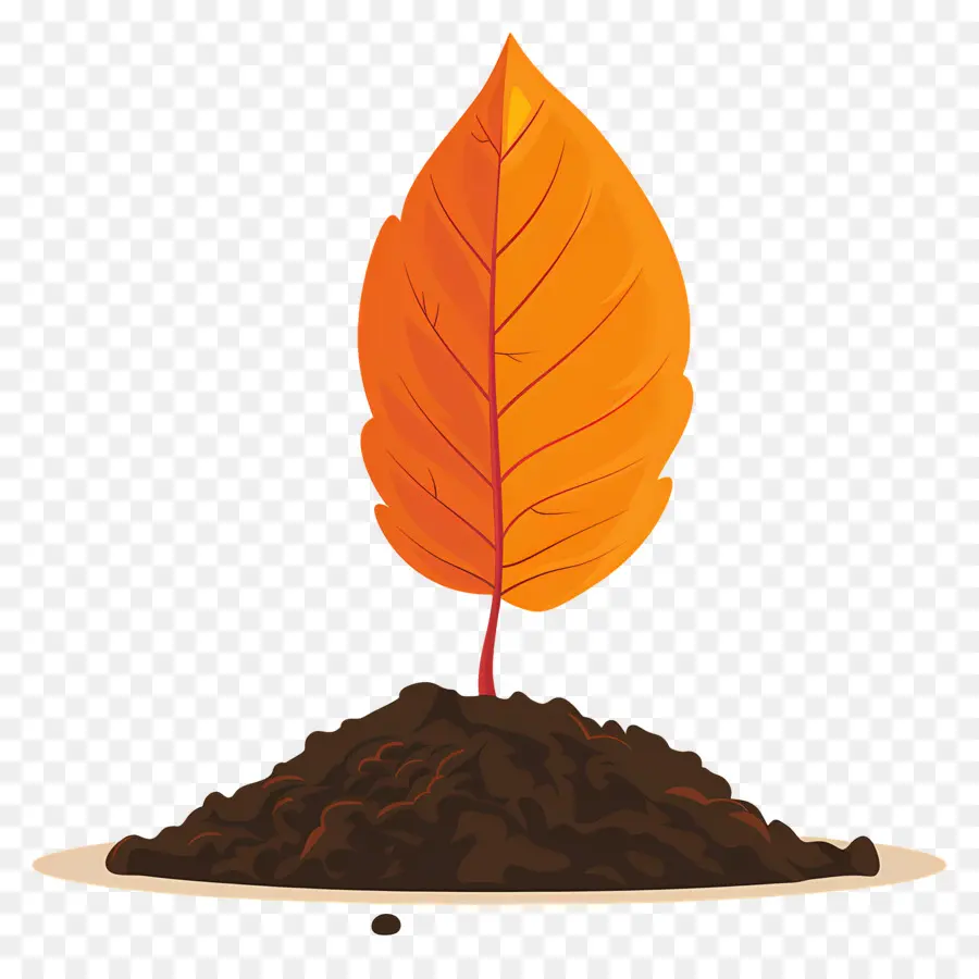 Hoja De Otoño En El Suelo，Hoja En El Suelo PNG