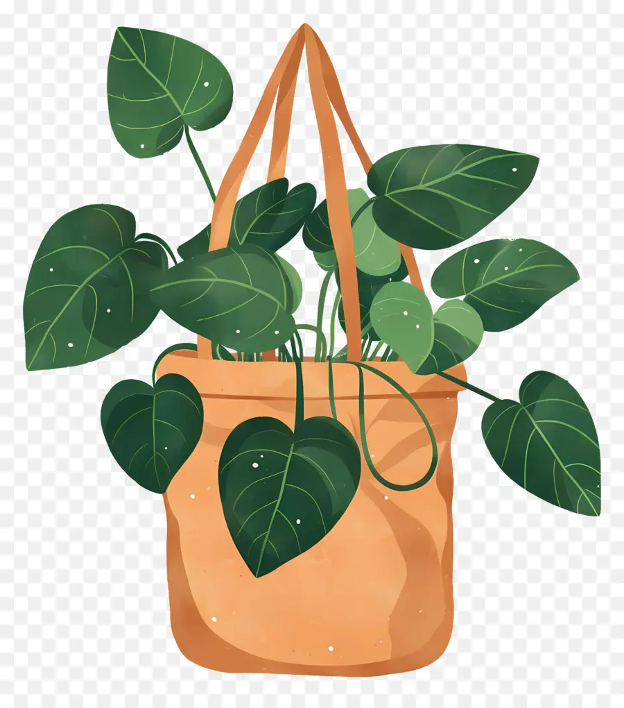 Bolsa De Plantas，Planta En Bolsa PNG