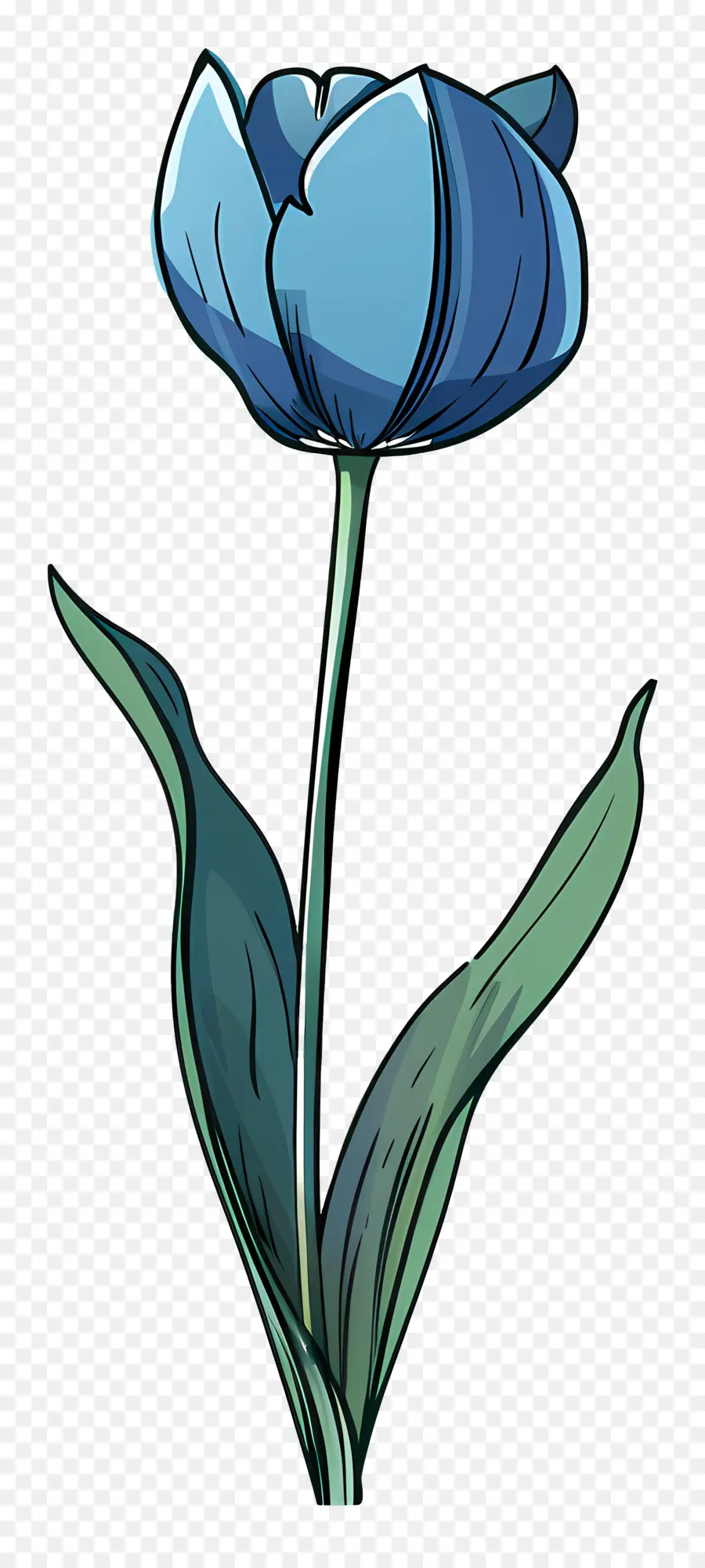 Flor De Tulipán，Tulipán Azul PNG