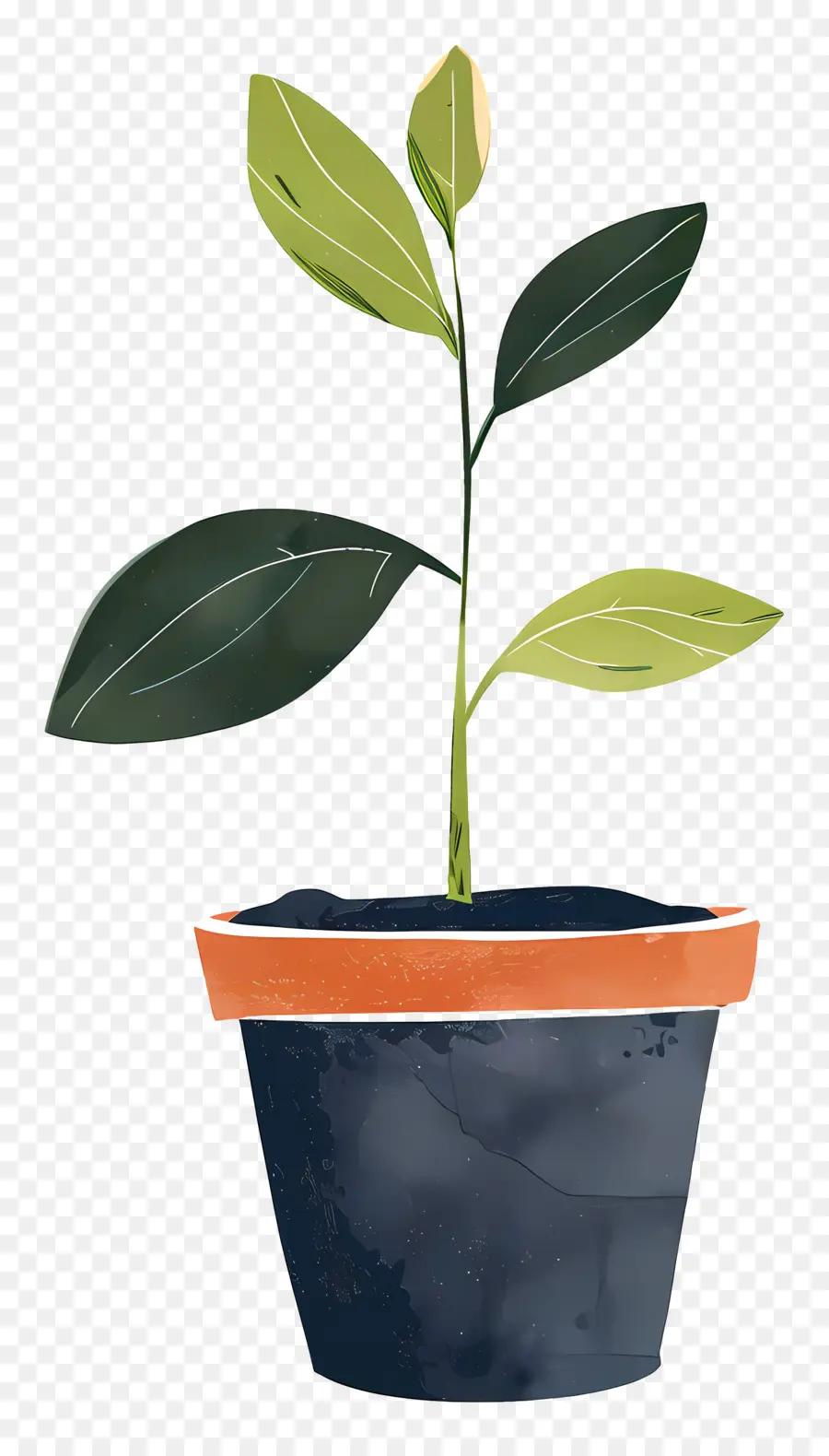 Planta De Brote Verde，Planta En Maceta PNG