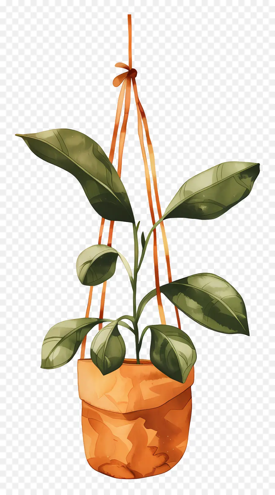 Bolsa De Planta，Colgando De La Planta PNG