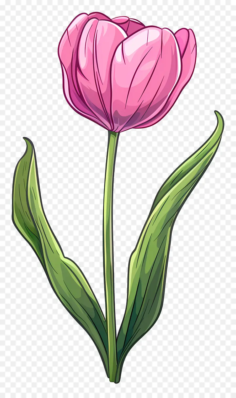 Flor De Tulipán，Tulipán Azul PNG