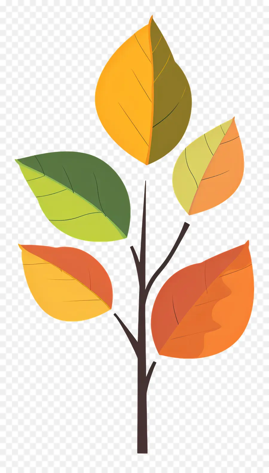 Hoja De Otoño En El árbol，Colorido árbol PNG