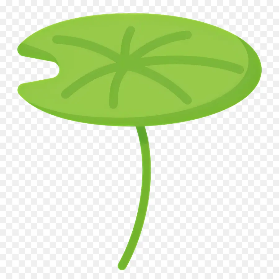 La Hoja De Loto，Cojín Del Lirio PNG