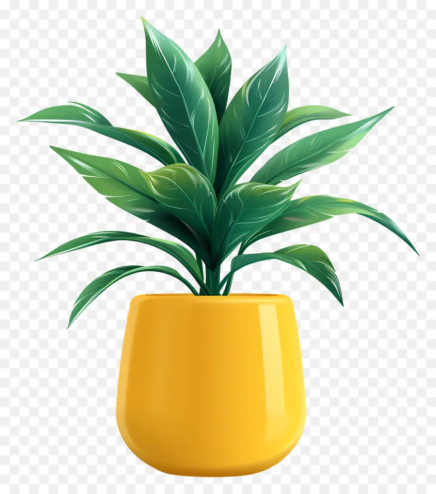 Planta De Interior，Planta En Maceta PNG