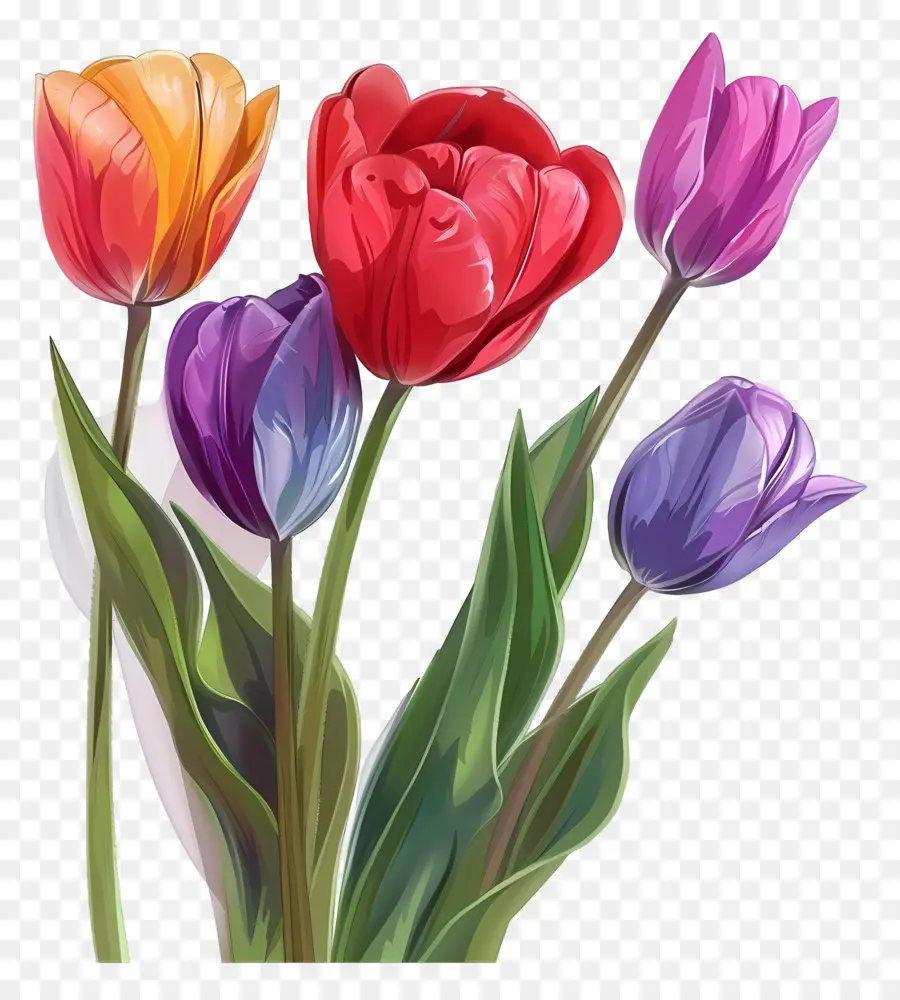 Flor De Tulipán，Tulipanes Rosados PNG