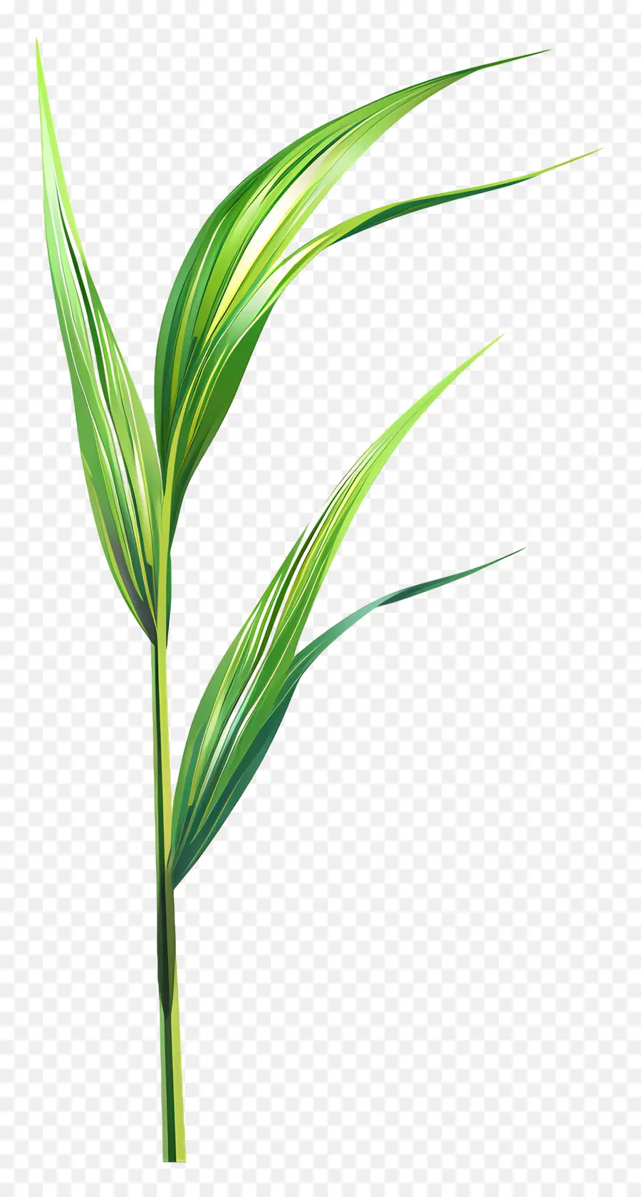 Hoja De Hierba，Planta PNG