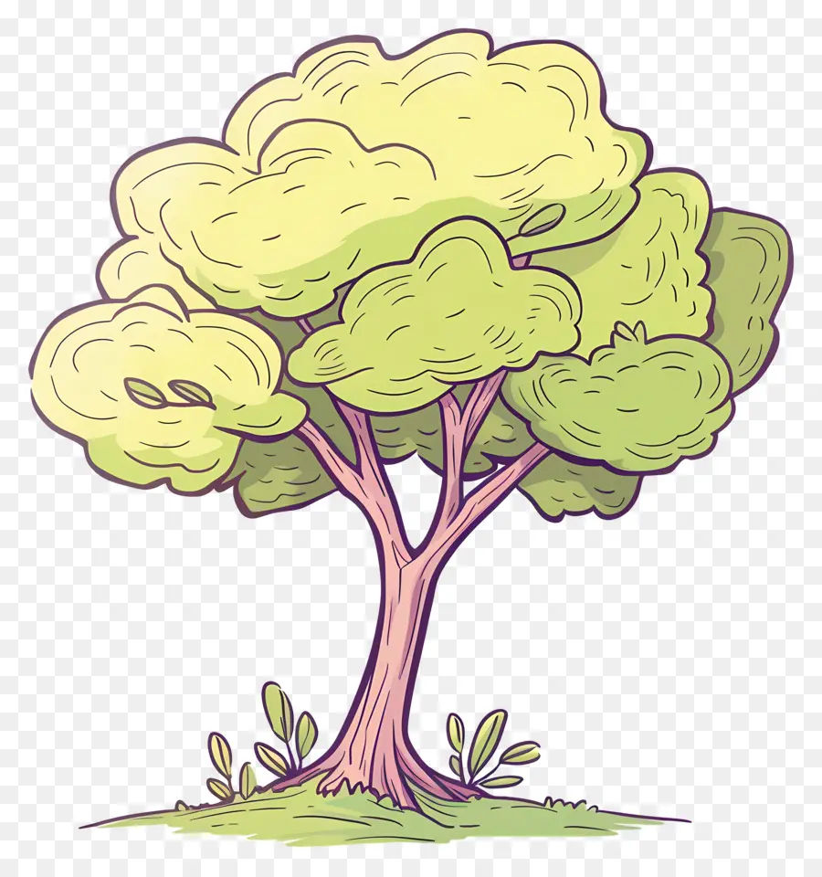 árbol De Jardín，Árbol PNG