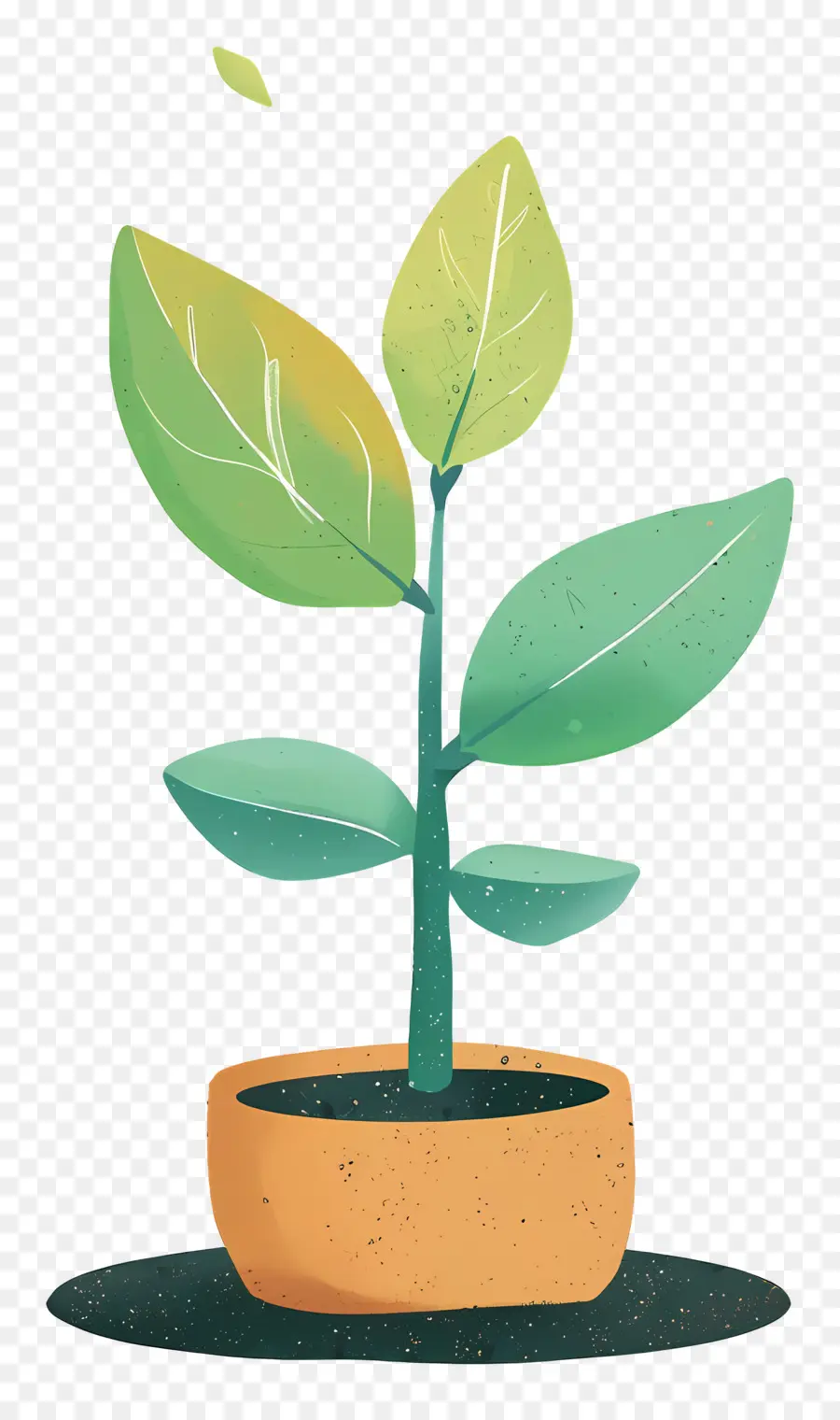 Planta De Brote Verde，Planta En Maceta PNG