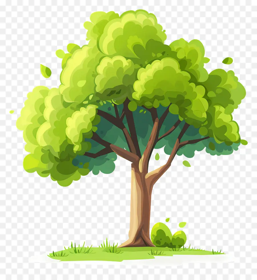 Árbol De Jardín，Dibujos Animados De árbol PNG