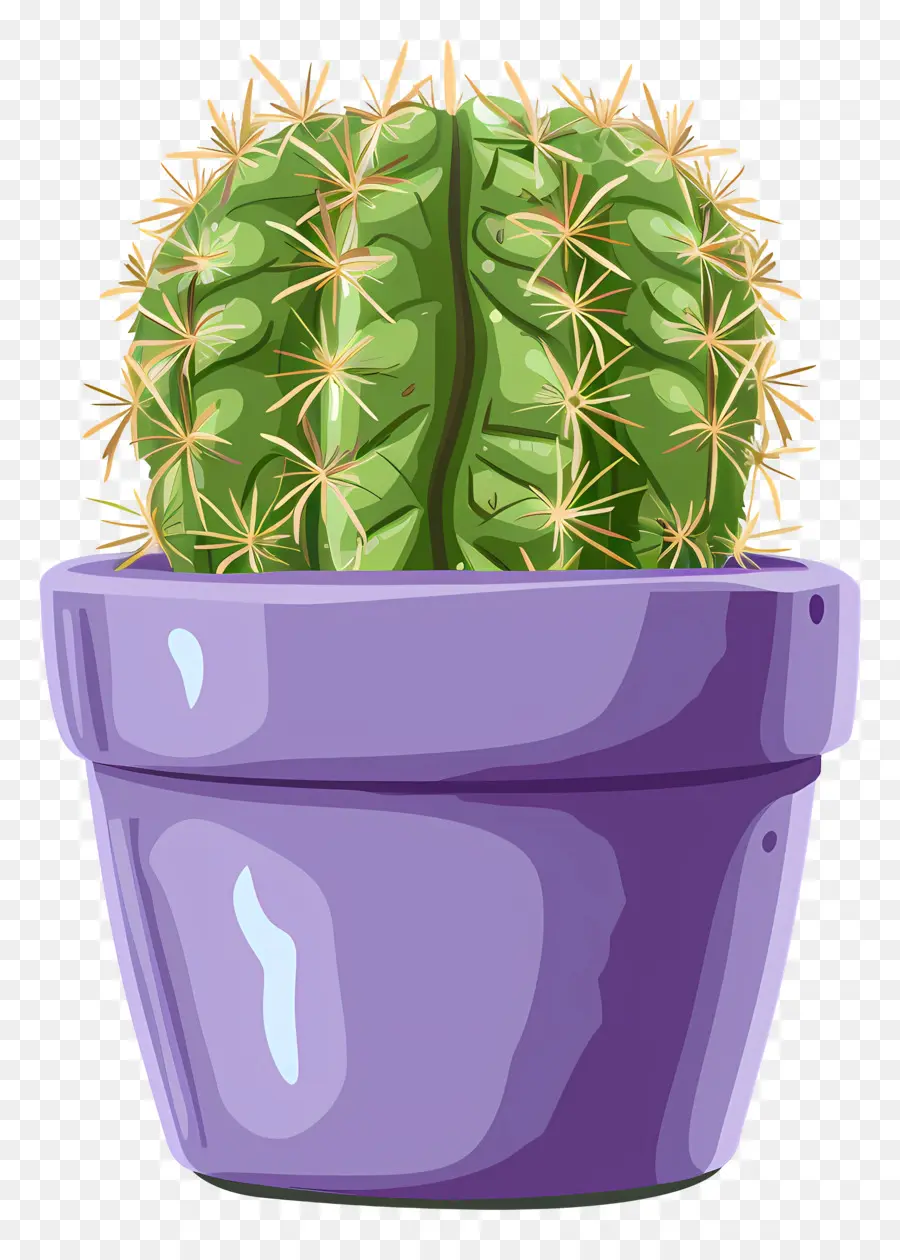 Cactus，Verde Cactus PNG