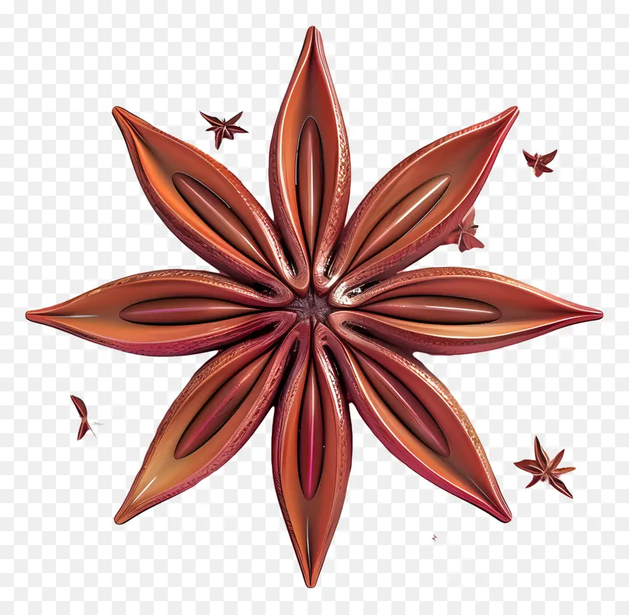 El Anís Estrellado，Hierba PNG