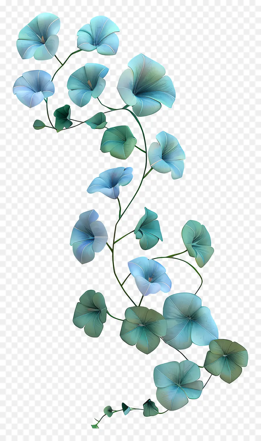 Flor De Vid，Vine De Gloria De La Mañana Azul PNG