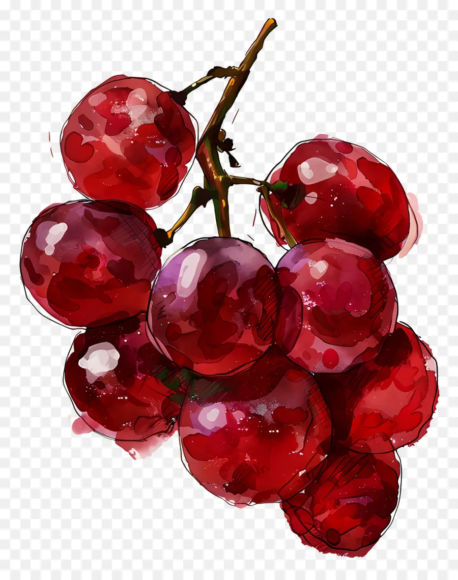 Las Uvas Rojas，Clúster PNG