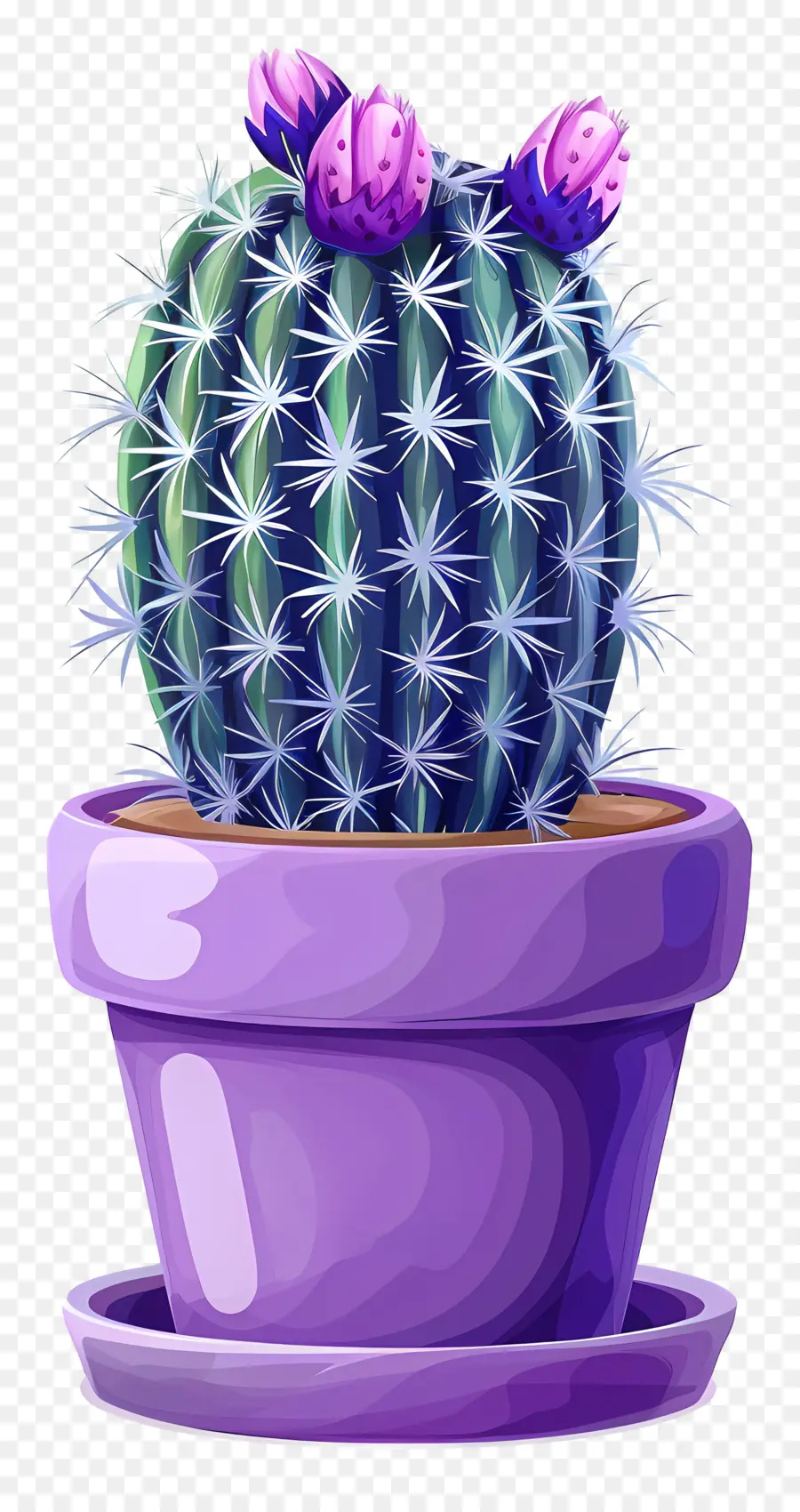 Cactus，Cacto Verde PNG