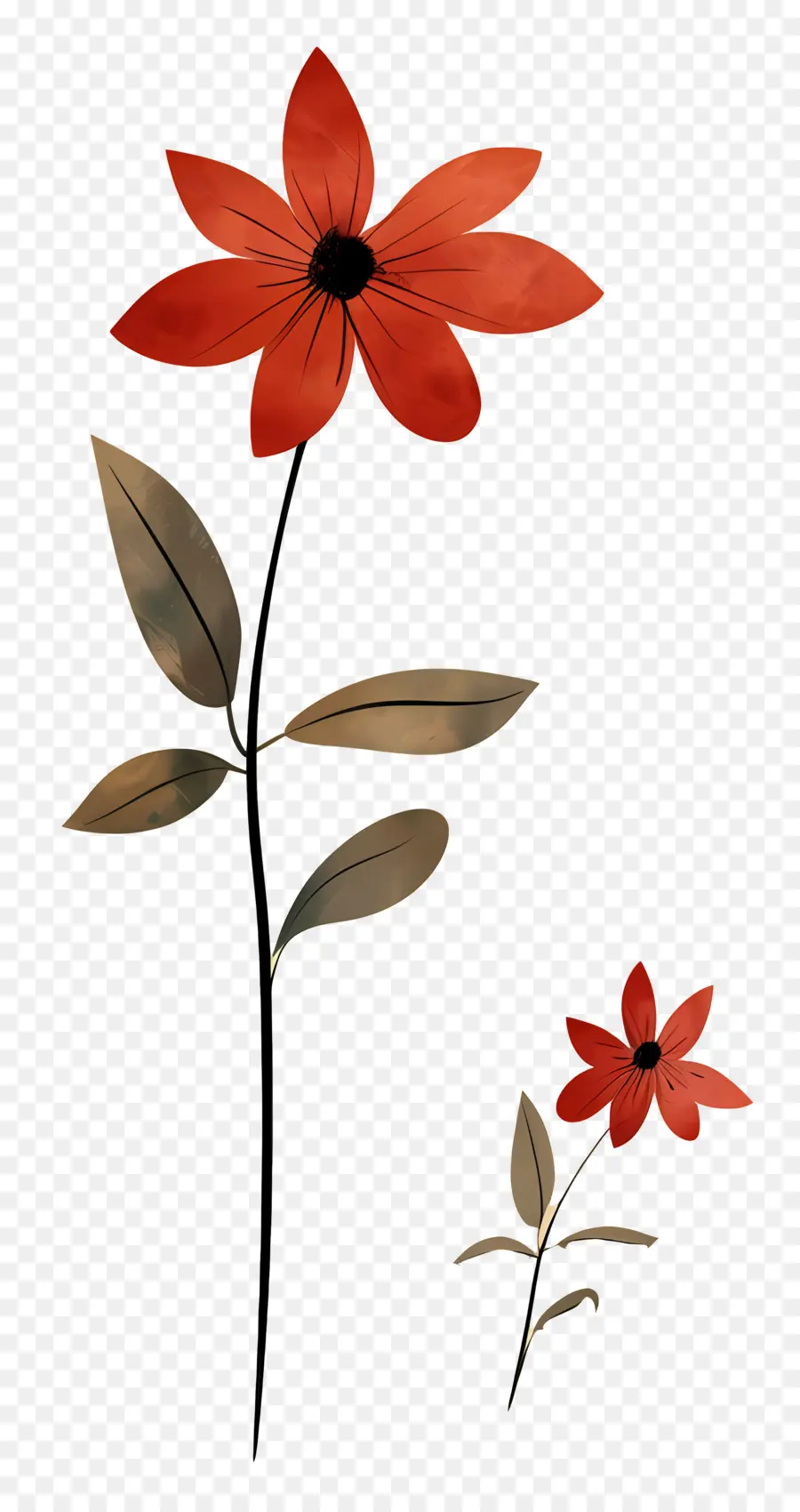 Flor Roja，Hojas PNG