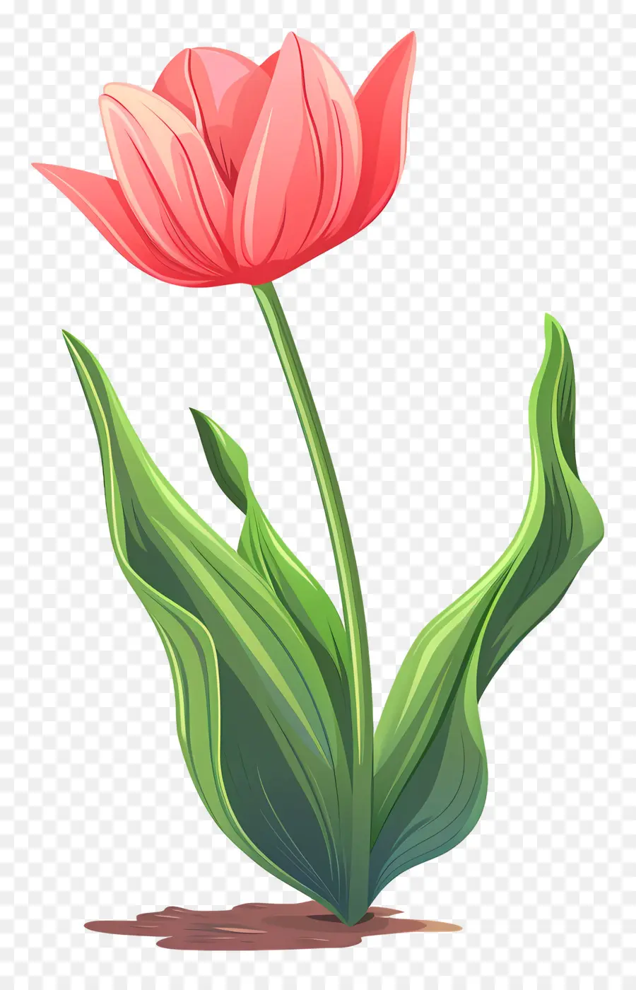 Flor De Tulipán，Tulipanes De Color Rosa PNG