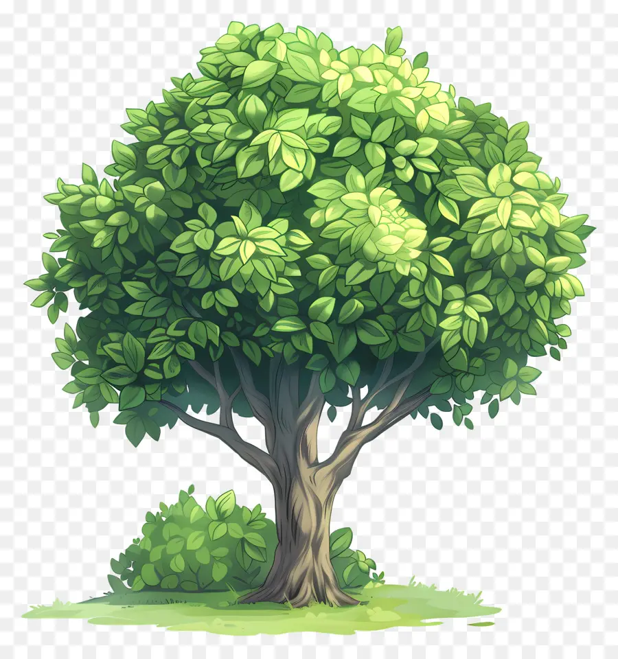 árbol De Jardín，Árbol PNG