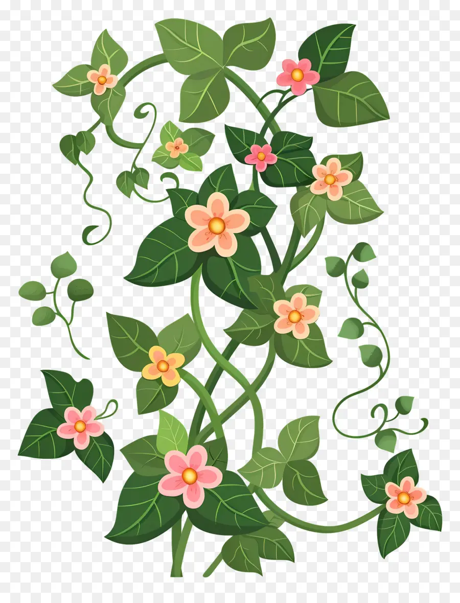 Ivy De Jardín，Vines PNG