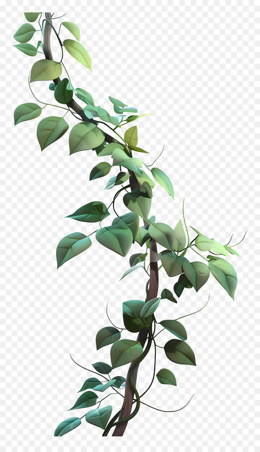 Enredad De La Jungla，Ivy Colgante PNG