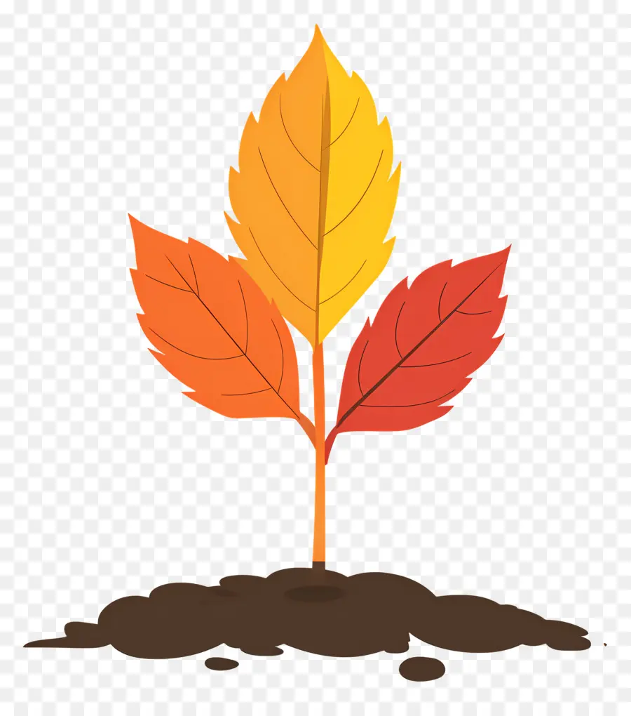 Hoja De Otoño En El Suelo，Planta PNG