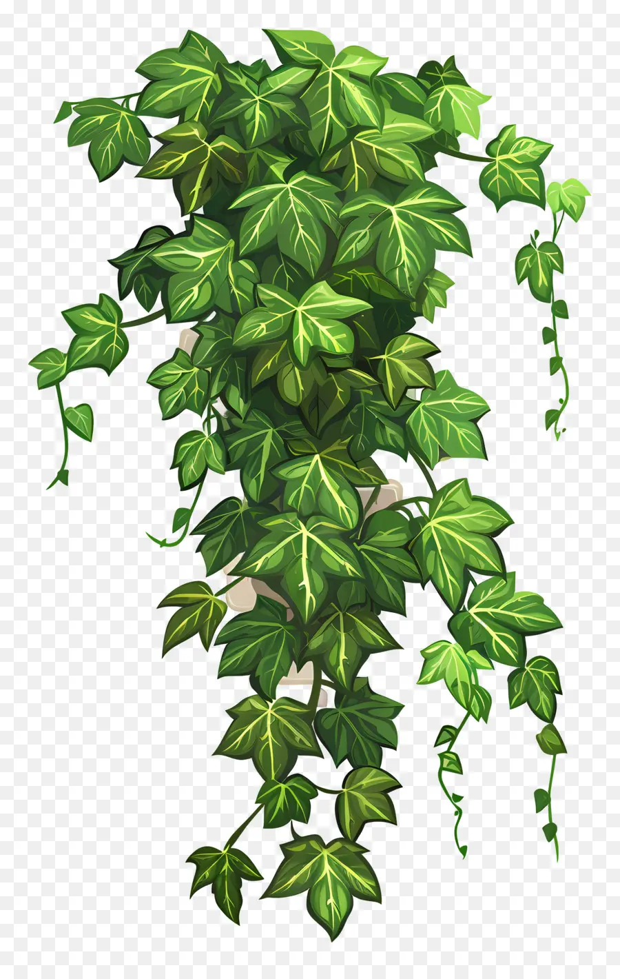 Hiedra De Jardín，Planta De Hiedra PNG