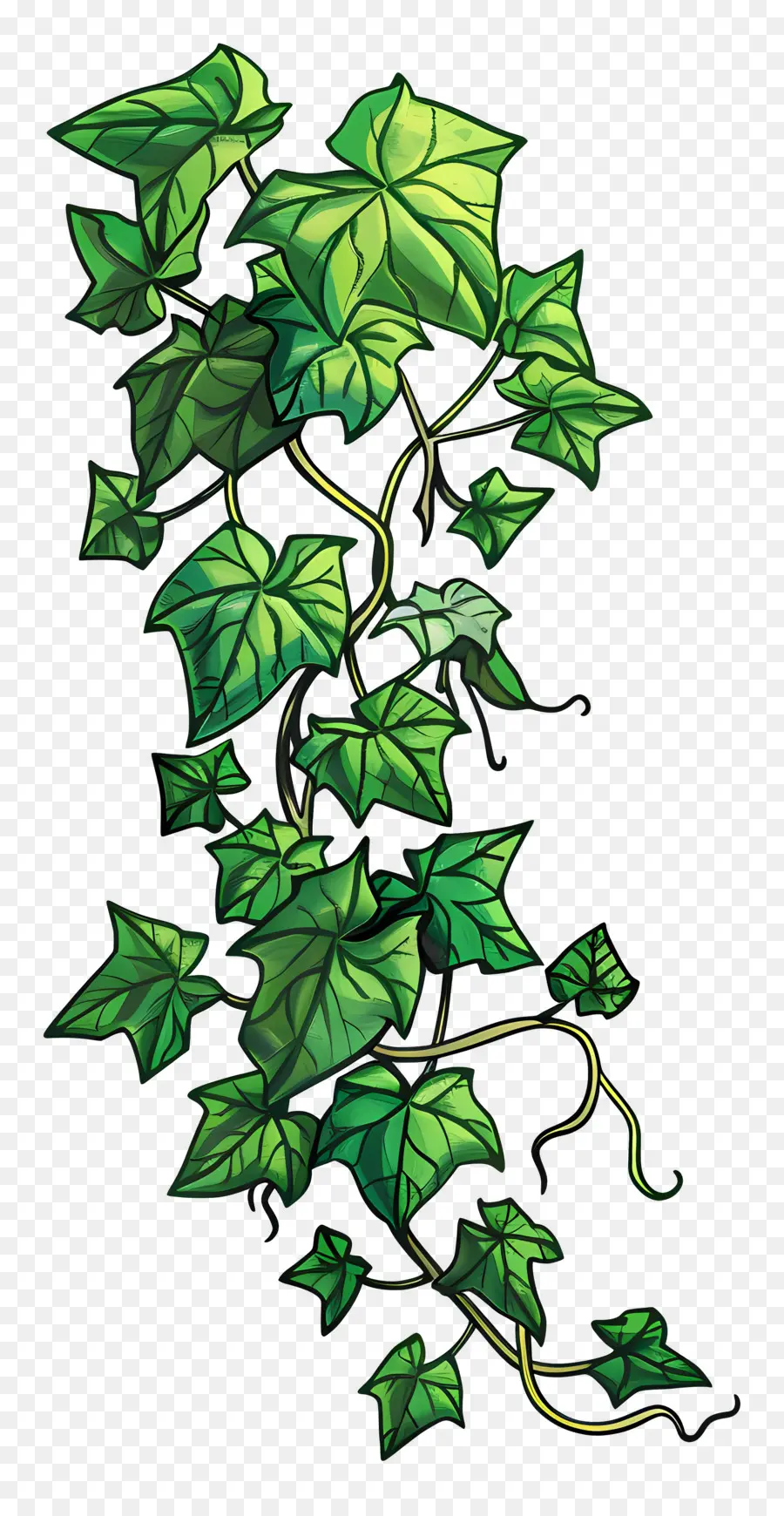 Hiedra De Jardín，Planta De Hiedra PNG